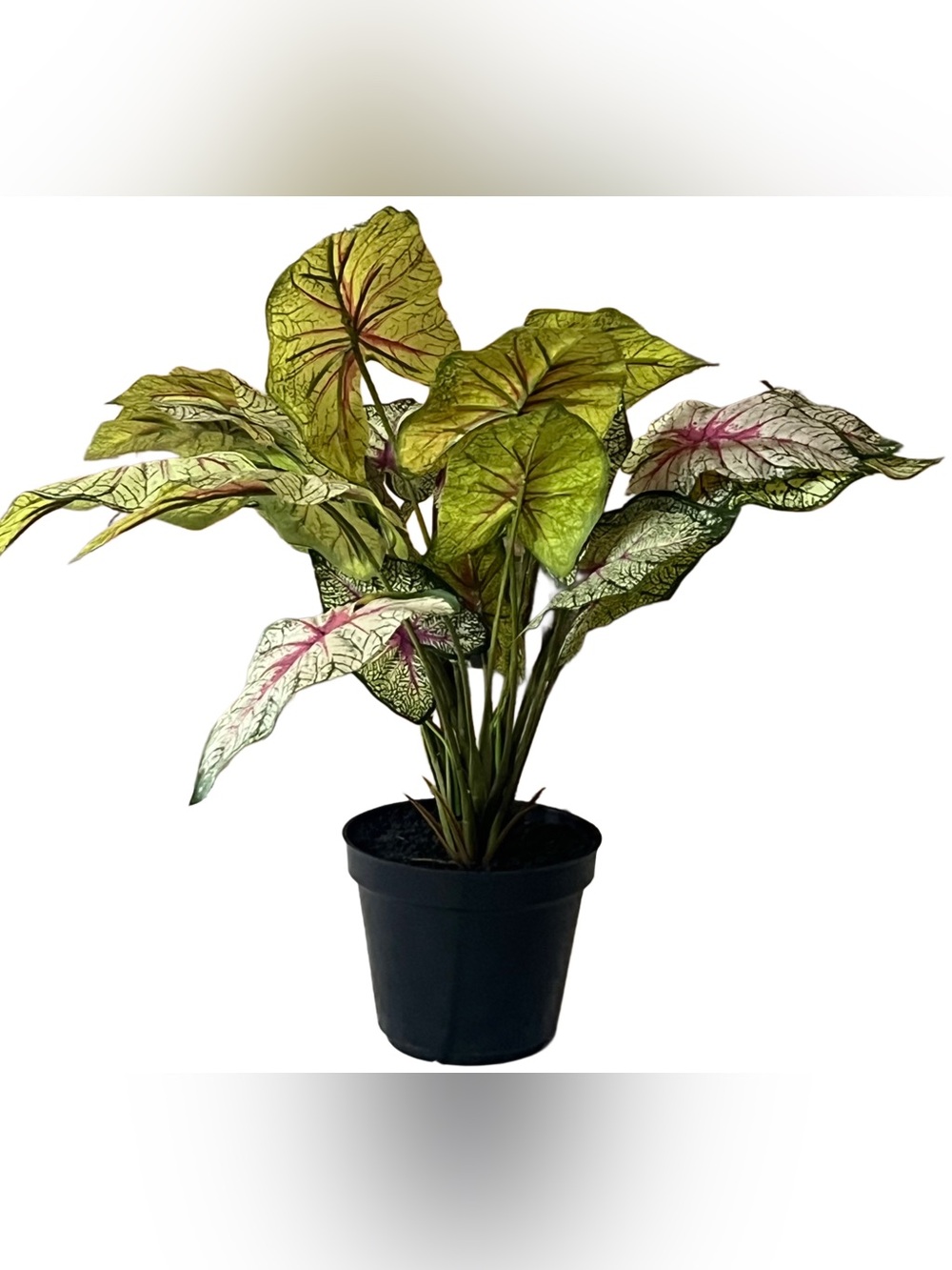 Green and Pink Caladium Potted Artificial Plant - Home Accents